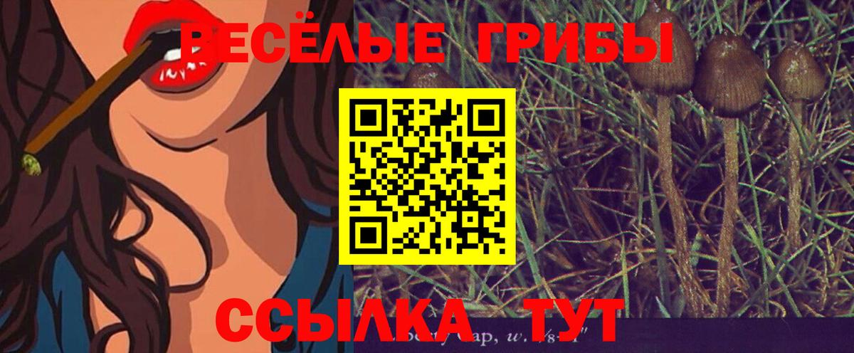 Псилоцибиновые грибы прущие грибы Зеленодольск